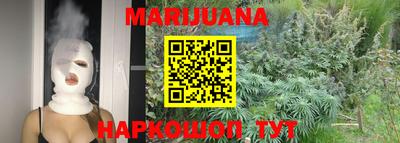 крисы Моздок