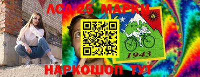 крисы Моздок