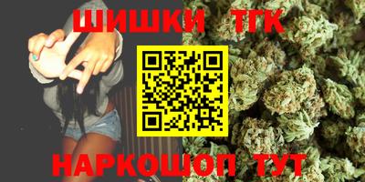 крисы Моздок