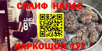 гашик Можга