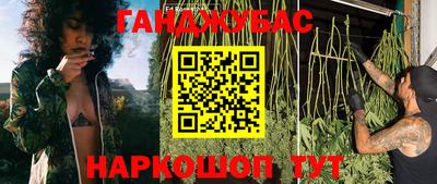 крисы Моздок