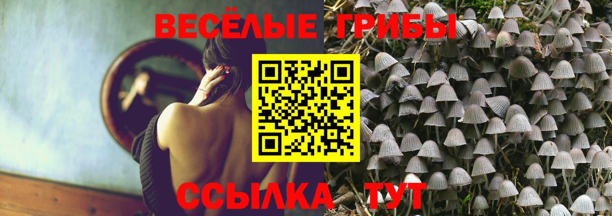 Галлюциногенные грибы мицелий  Вход с VPN  закладки  Сланцы 